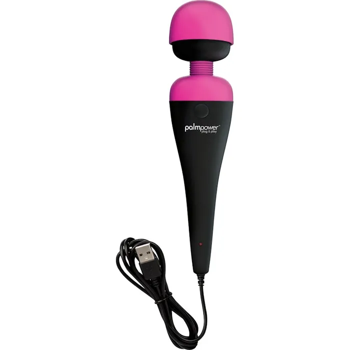 PalmPower Massage Wand Plug and Play USB PalmPower Couples