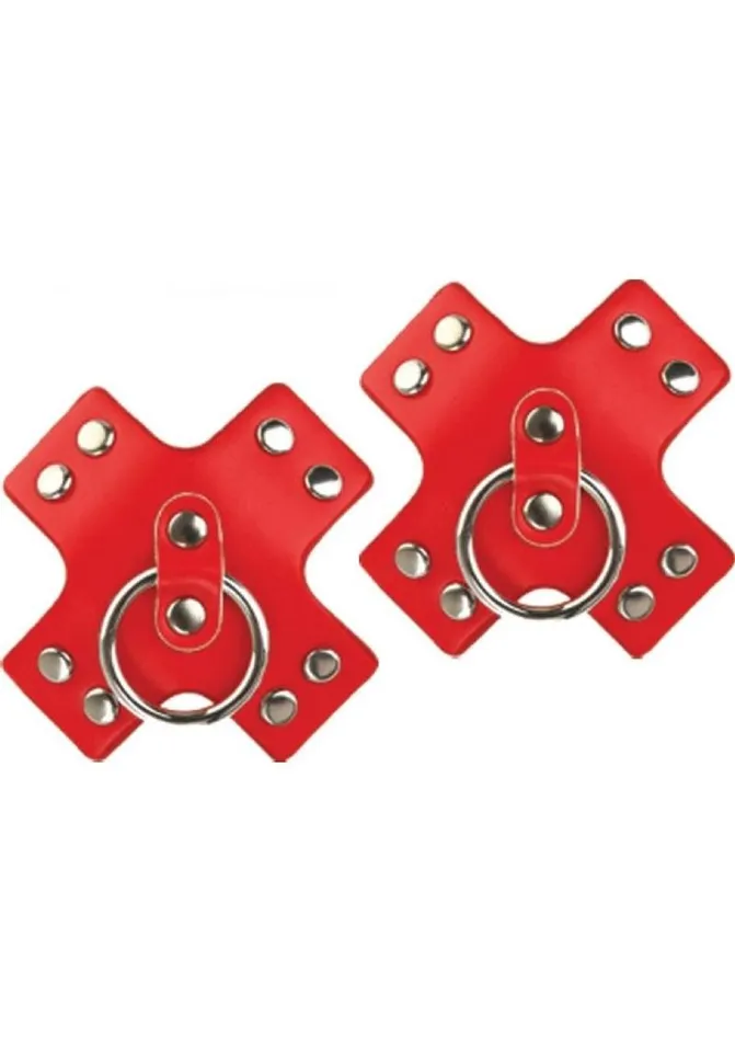 Nipplicious Seducer Pasties Hott Products Female Sex Toys