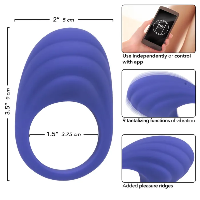 CalExotics Couples Calexotics Connect Couples Ring Periwinkle CalExotics Couples Calexotics Connect Couples Ring Periwinkle
