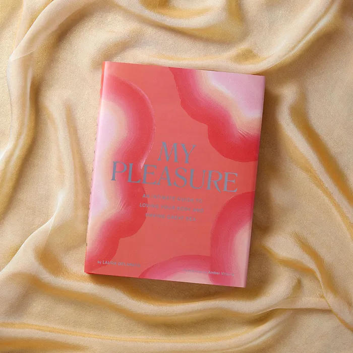 My Pleasure Chronicle Books Vibrators
