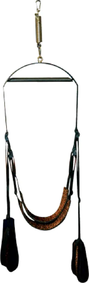 Wild Spinning Sex Swing Leopard Print Topco Sales Couples