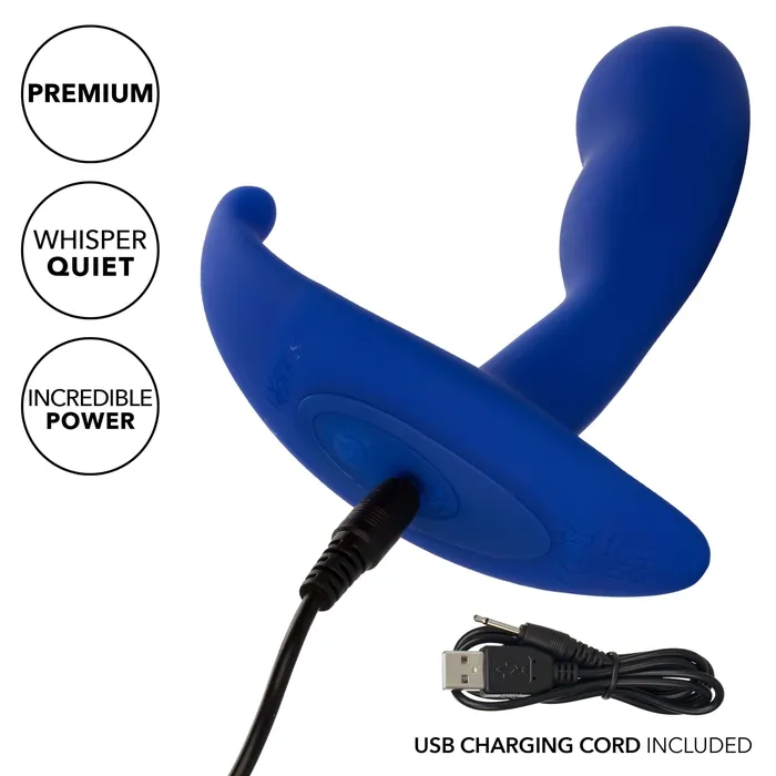 Admiral Advanced Curved Probe Blue USB Rechargeable Dual Motor Anal Probe California Exotic Novelties Anal