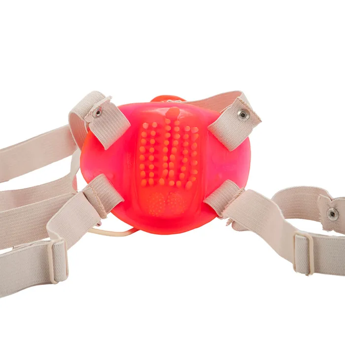 Bettys Jelly Bumble Bee Strap On in Pink CalExotics Female Sex Toys