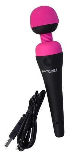 BMS Enterprises PalmPower Recharge Cordless Magic in the Palm of Your Hand Female Sex Toys