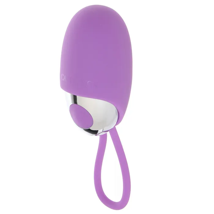Vibrators Turbo Buzz Bullet Vibe in Purple CalExotics