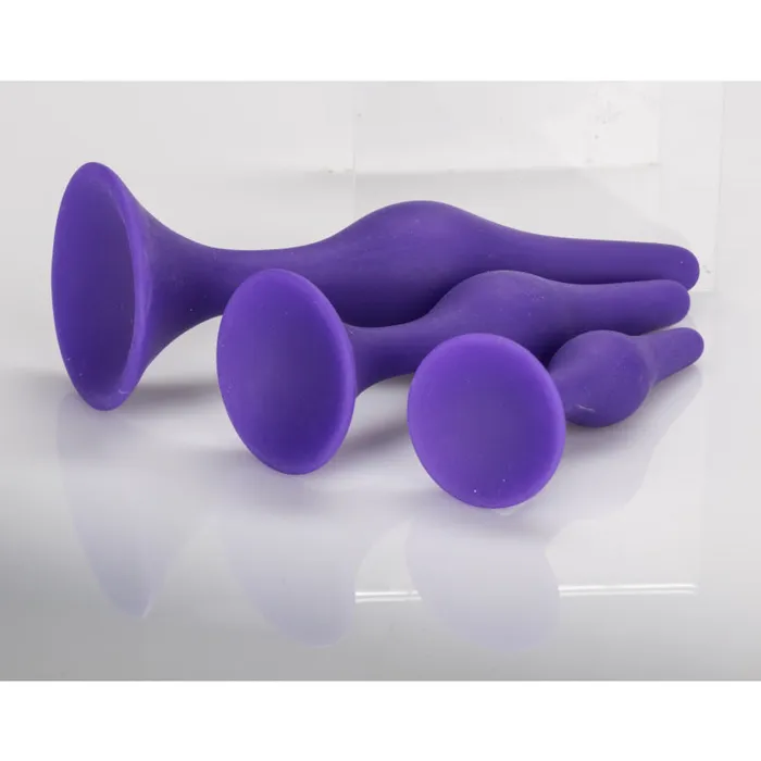 CalExotics Male Sex Toys Booty Call Booty Trainer Kit