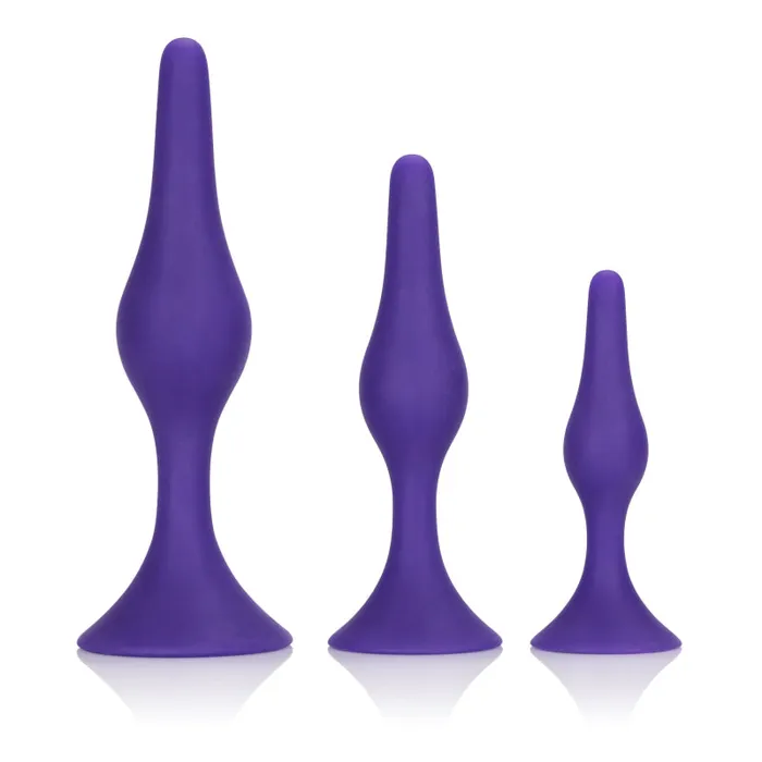 CalExotics Male Sex Toys Booty Call Booty Trainer Kit CalExotics Male Sex Toys Booty Call Booty Trainer Kit