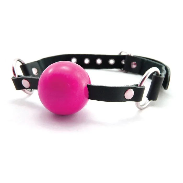 Couples Sex Kitten Sex Kitten Silicone Ball Gag Pink