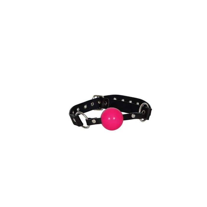 Couples Sex Kitten Sex Kitten Silicone Ball Gag Pink