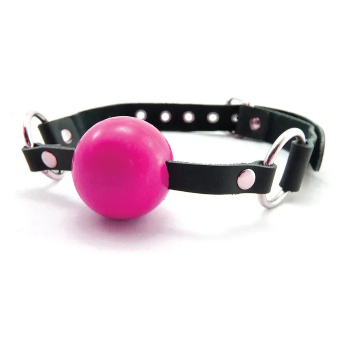 Couples Sex Kitten Sex Kitten Silicone Ball Gag Pink