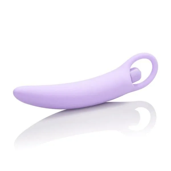 Dr Laura Berman Anal Isabelle Purple Vibrating Silicone Dilators Set of 2