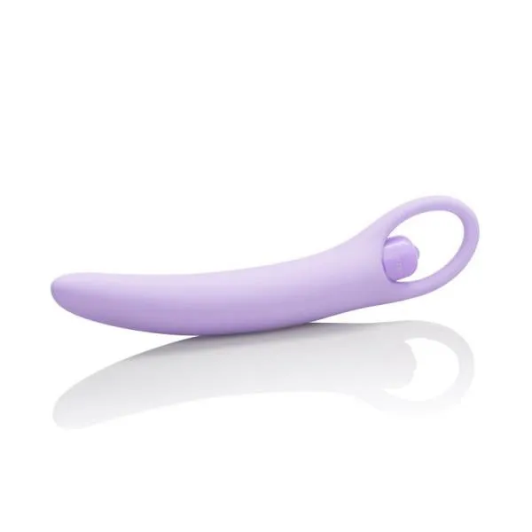 Dr Laura Berman Anal Isabelle Purple Vibrating Silicone Dilators Set of 2