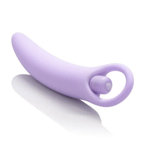 Dr Laura Berman Anal Isabelle Purple Vibrating Silicone Dilators Set of 2