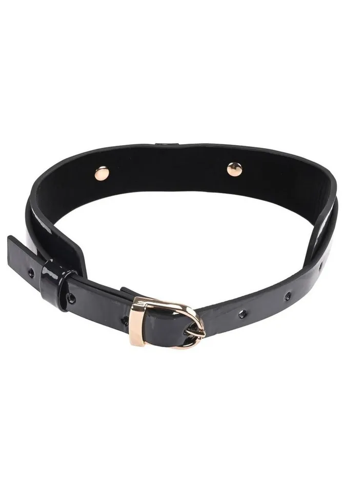 Couples Sex and Mischief Orbit Day Collar Sex and Mischief
