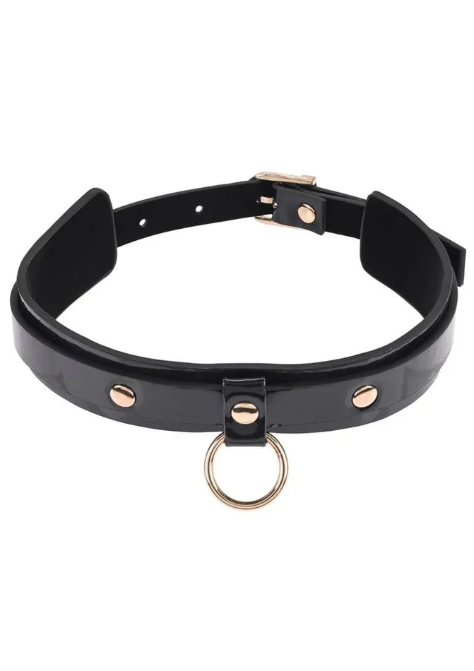 Couples Sex and Mischief Orbit Day Collar Sex and Mischief