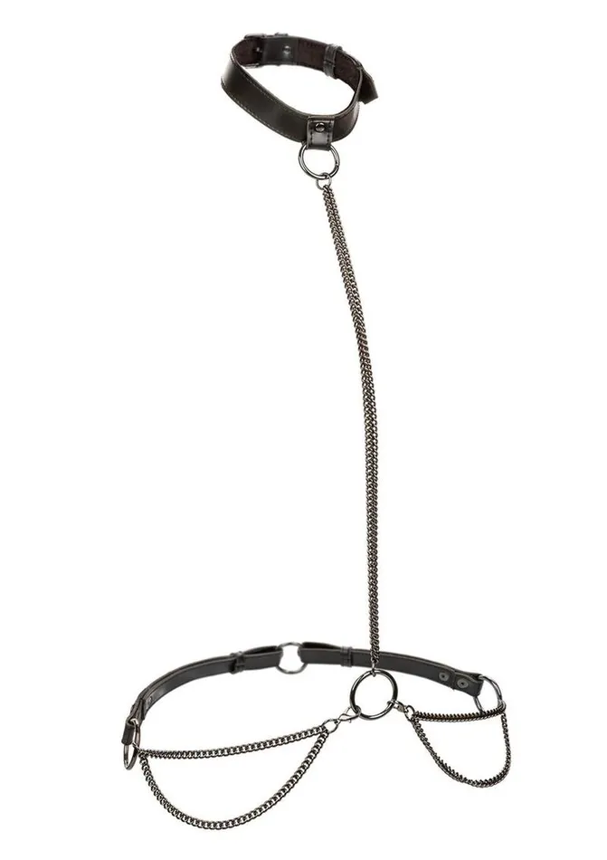 Euphoria Collection Chain HalterCollar and Leash Euphoria Vibrators