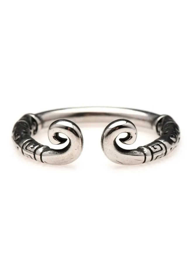 Master Series Master Series Kingpin Stainless Steel Glans Ring Male Sex Toys
